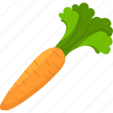 carrot, root, ripe, fresh, raw, vegetables, organic, salad, food