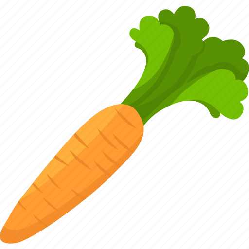 Carrot, root, ripe, fresh, raw, vegetables, organic icon - Download on Iconfinder