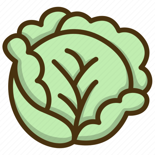 Vegetable, plant, cabbage, organic, fresh icon - Download on Iconfinder