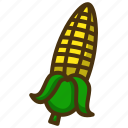 vegetable, corn, maize, food, organic, agriculture, farm