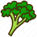 vegetable, broccoli, plant, leaf, branch, raw
