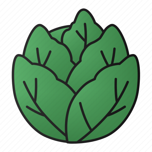 Cabbage, vegetable, vegetarian, healthy, organic icon - Download on Iconfinder