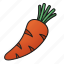 carrot, vegetable, organic, vegetarian, healthy 