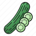 cucumber, vegetable, natural, vegetarian, fresh, organic 