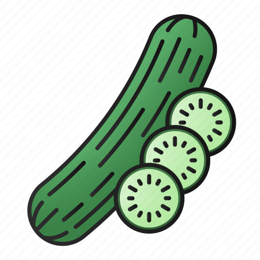 Cucumber, vegetable, natural, vegetarian, fresh, organic icon - Download on Iconfinder