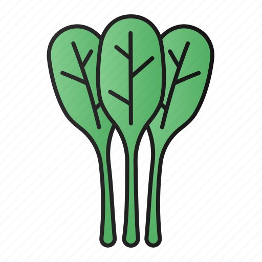 Spinach, green, leaves, vegetable, vegetarian, fresh, healthy icon - Download on Iconfinder