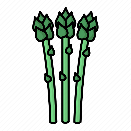 Asparagus, vegetable, green, nutrion, agriculture icon - Download on Iconfinder