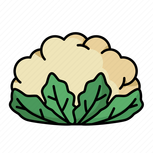 Cauliflower, vegetable, vegetarian, healthy, organic, cabbage icon - Download on Iconfinder