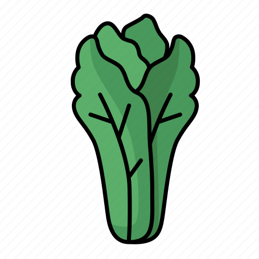 Lettuce, vegetable, green, healthy, organic icon - Download on Iconfinder