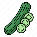 cucumber, vegetable, natural, vegetarian, fresh, organic