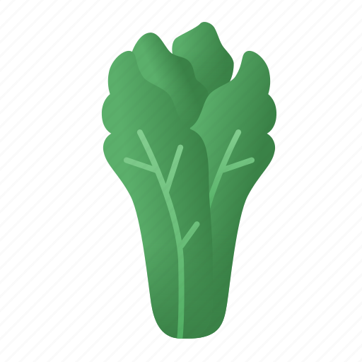 Lettuce, vegetable, green, healthy, organic icon - Download on Iconfinder
