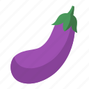 eggplant, vegetable, fruit, nutrion, healthy 