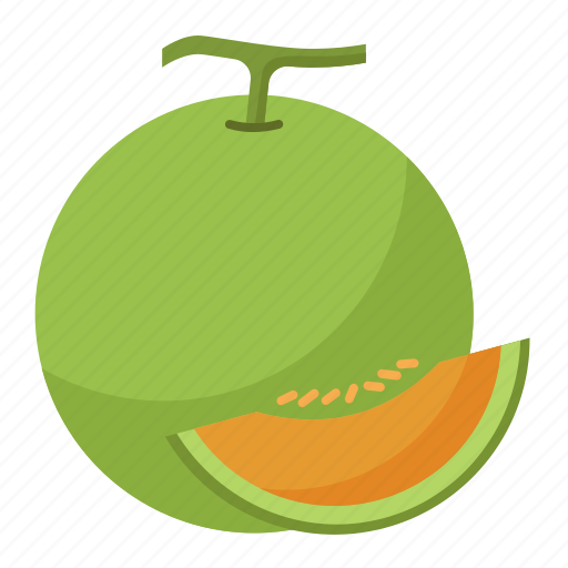 Melon, fruit, organic, fresh, tropical icon - Download on Iconfinder