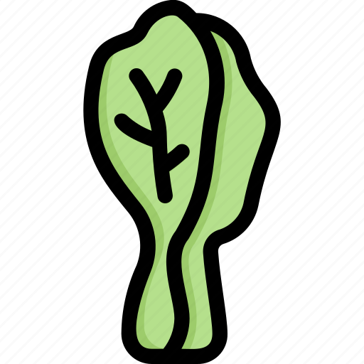 Chinese cabbage, farm, fiber, food, fresh, vegetables, vegetarian icon - Download on Iconfinder