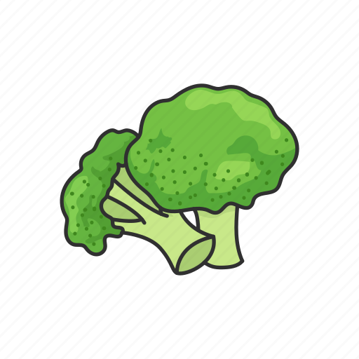 Broccoli, food, leafy, vegetable, veggies icon - Download on Iconfinder