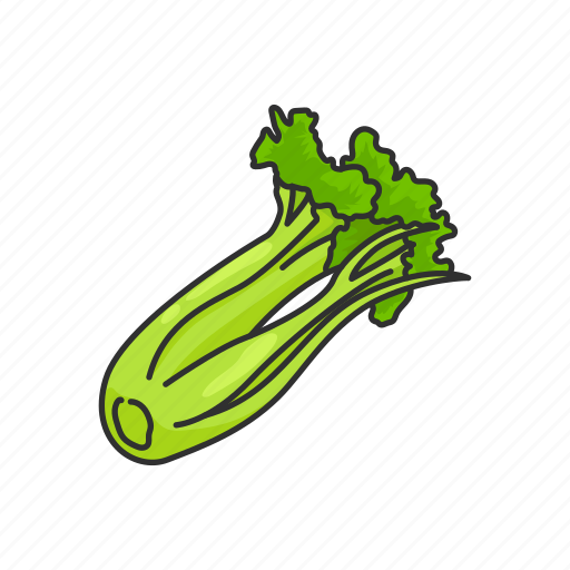 Celery, food, greens, healthy, plants, vegetable, veggies icon - Download on Iconfinder
