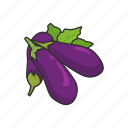 eggplant, food, plants, vegetable, veggies
