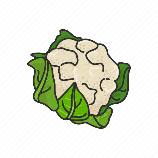 Broccoli, food, greens, healthy, leafy, plants, vegetable icon - Download on Iconfinder