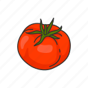 food, plant, red, species, tomato, vegetable