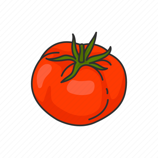 Food, plant, red, species, tomato, vegetable icon - Download on Iconfinder