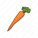 carrots, food, healthy, plants, vegetable, veggies