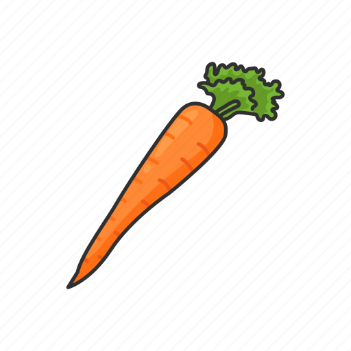 Carrots, food, healthy, plants, vegetable, veggies icon - Download on Iconfinder