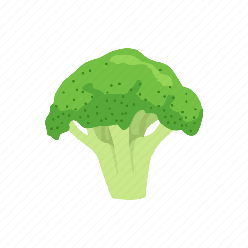 Broccoli, food, greens, healthy, plants, vegetable, veggies icon - Download on Iconfinder