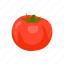 plant, red, species, tomato, vegetable, veggies 