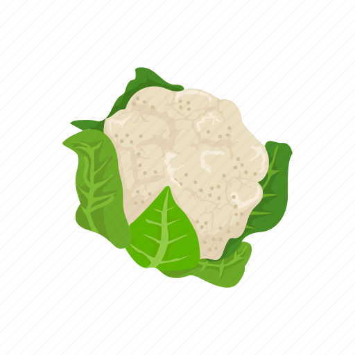 Broccoli, food, greens, leafy, vegetable, veggies icon - Download on Iconfinder