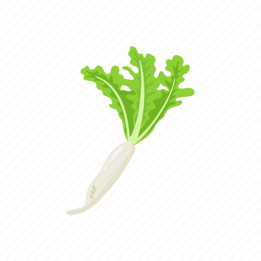 Healthy, plants, raddish, vegetable, veggies icon - Download on Iconfinder
