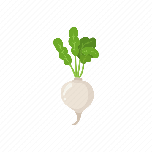 Crops, food, healthy, turnip, vegetable, veggies icon - Download on Iconfinder
