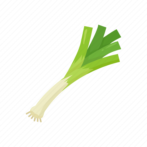 Food, healthy, leek, plants, vegetable, veggies icon - Download on Iconfinder