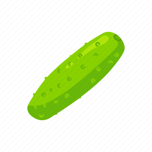Cucumber, food, healthy, leafy, plants, veggies icon - Download on Iconfinder