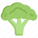 broccoli, farm, fiber, food, fresh, vegetables, vegetarian