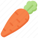 carrot, farm, fiber, food, fresh, vegetables, vegetarian