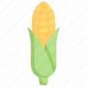 corn, farm, fiber, food, fresh, vegetables, vegetarian