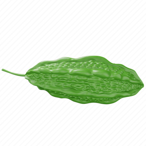 Vegetable, food, fresh, bitter gourd, bitter melon 3D illustration - Download on Iconfinder