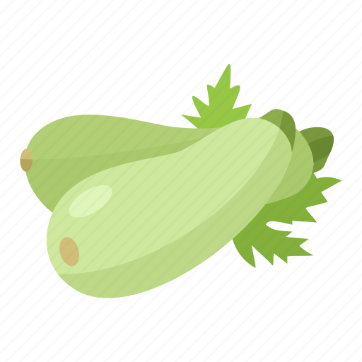 Zucchini, food, healthy food, vegetable, vegetables, vegetarian, gastronomy icon - Download on Iconfinder