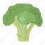 broccoli, healthy food, cabbage, salad, food, vegetable, vegetables 