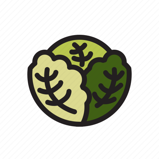 Cabbage, vegetable, fresh, healthy, food icon - Download on Iconfinder