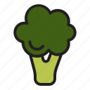 broccoli, vegetable, fresh, healthy, food