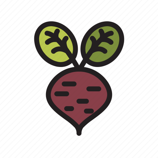 Beetroot, beet, vegetable, fresh, healthy, food icon - Download on Iconfinder
