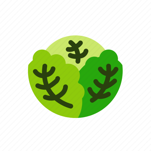 Cabbage, vegetable, fresh, healthy, food icon - Download on Iconfinder