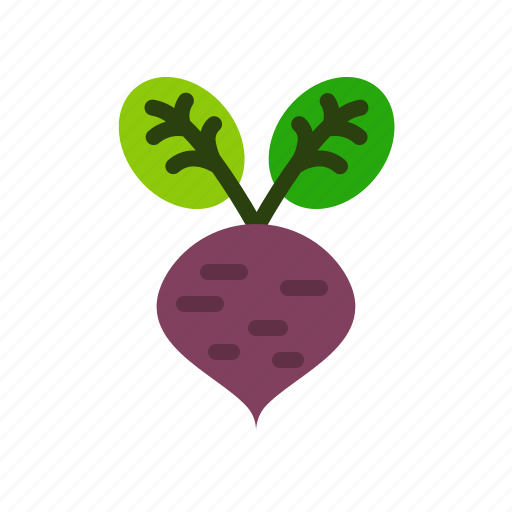 Beetroot, beet, vegetable, fresh, healthy, food icon - Download on Iconfinder
