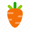 carrot, vegetable, fresh, healthy, food