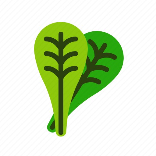 Spinach, vegetable, fresh, healthy, food icon - Download on Iconfinder