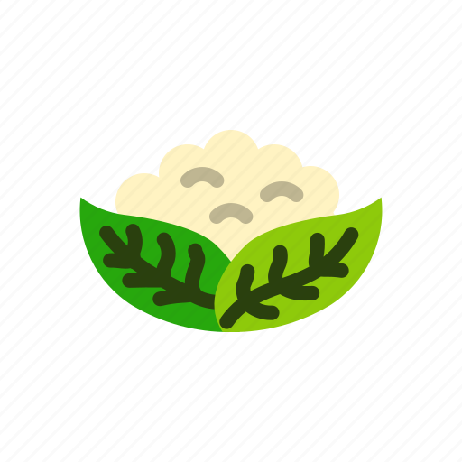 Cauliflower, vegetable, fresh, healthy, food icon - Download on Iconfinder