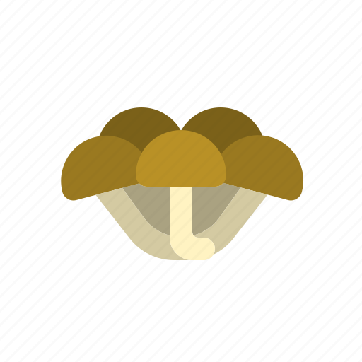 Shimeji, mushroom, vegetable, fresh, healthy, food icon - Download on Iconfinder