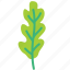 arugula, vegetable, leaf, plant 