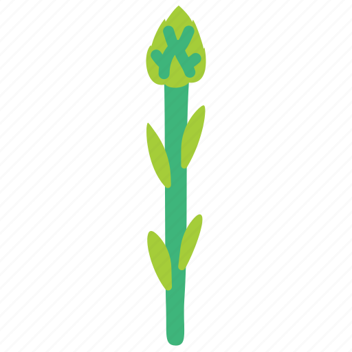 Asparagus, sparrowgrass, vegetable, kitchen icon - Download on Iconfinder